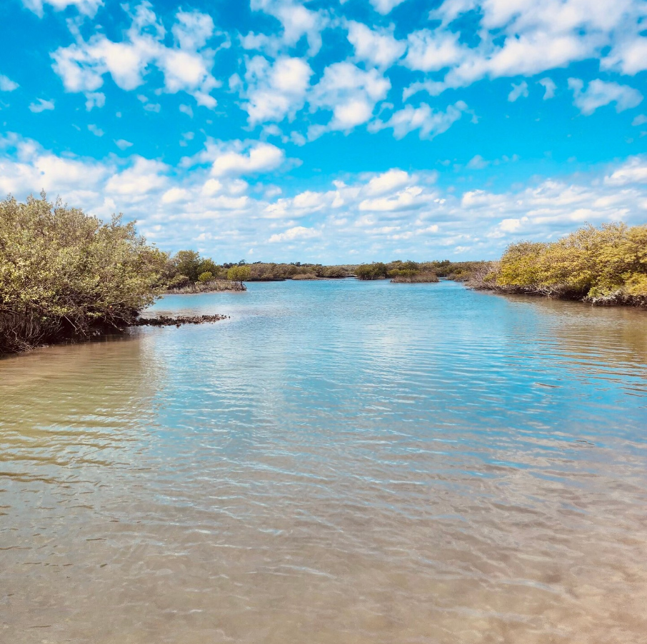 Matanzas River Sunset